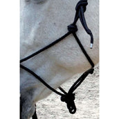 Norton Riding Halter with Reins Black