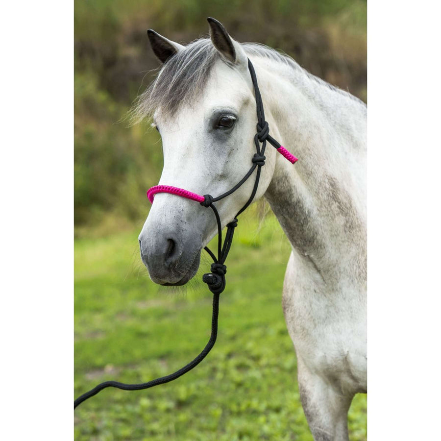 Norton Rope Halter Set Fun Colour Ethologically Black/Fuchsia