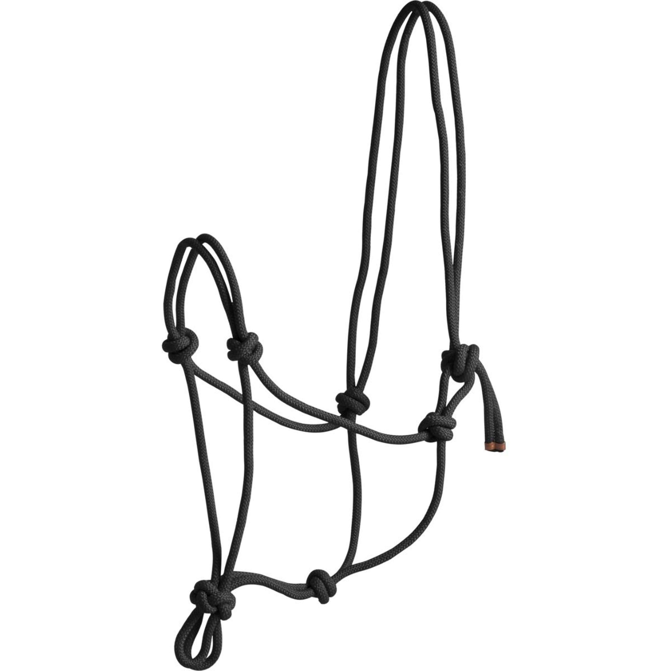 Norton Rope Halter First Black