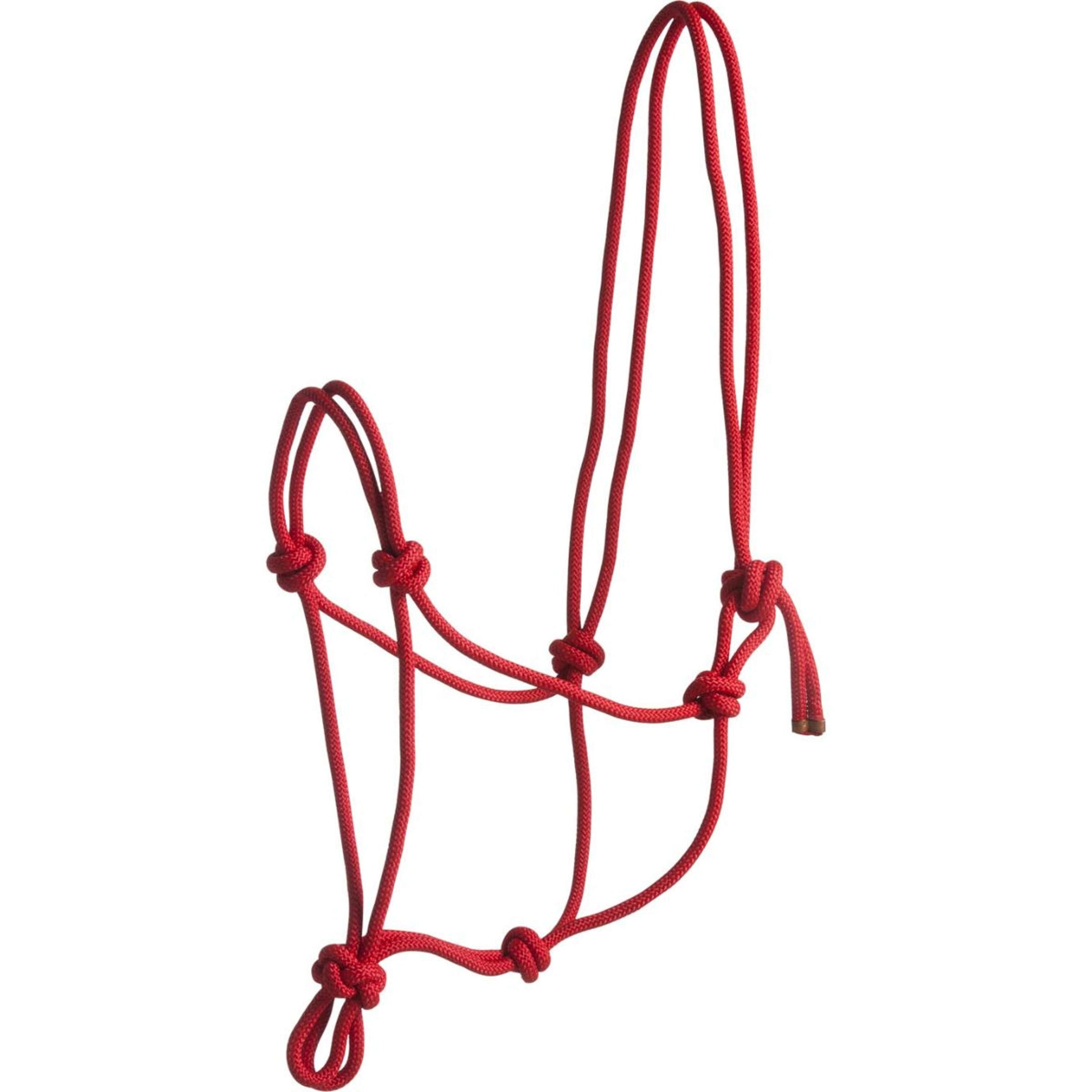 Norton Rope Halter First Red