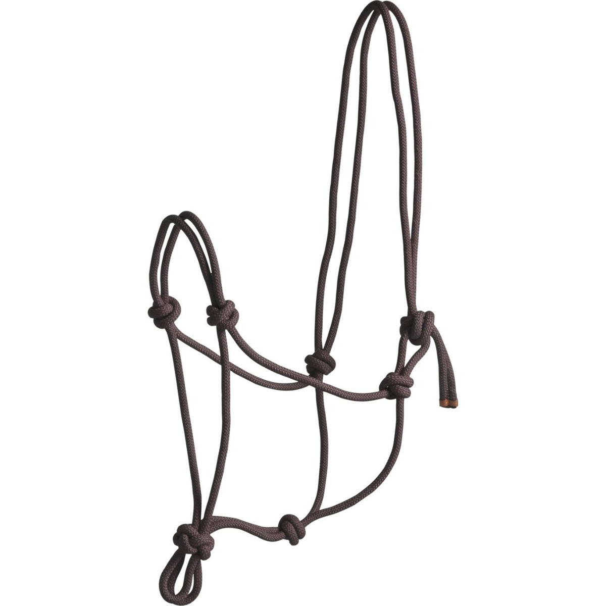 Norton Rope Halter First Brown