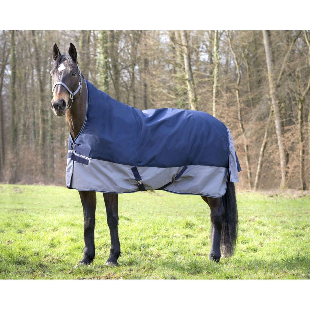 EQUITHÈME Turnout Rug Tyrex High Neck 600D 300g Navy/Grey Dots