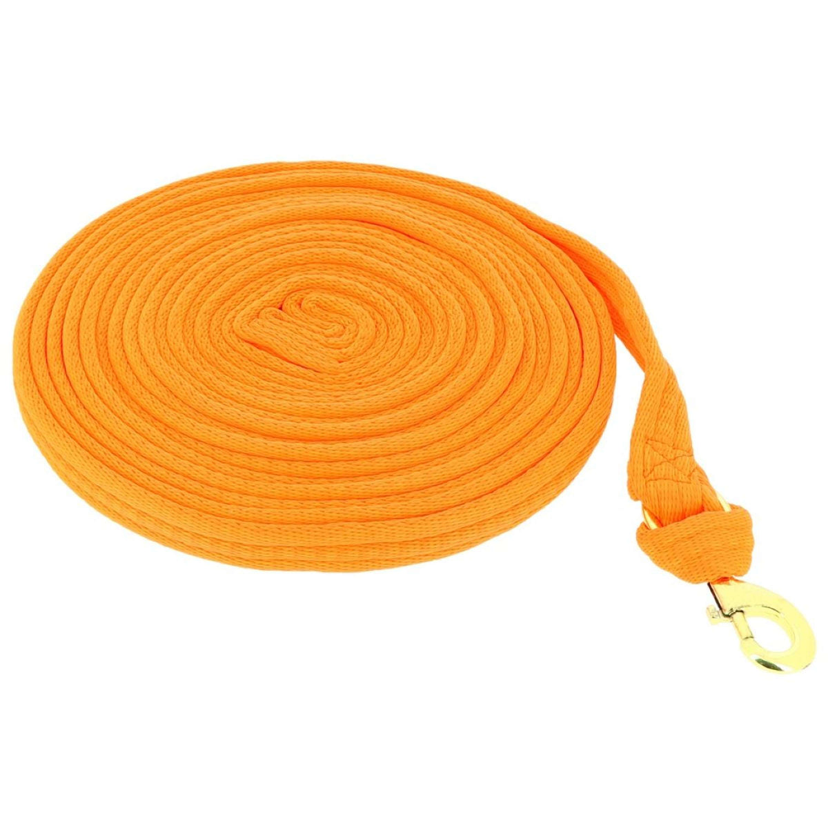 Norton Lunging Side Rope Fluo Neon Orange