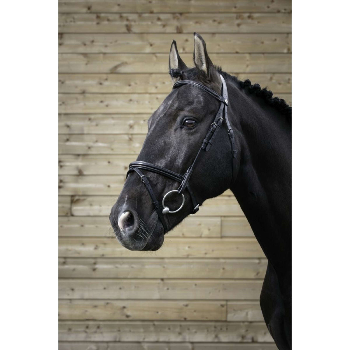 Norton Bridle Pro Fin Black