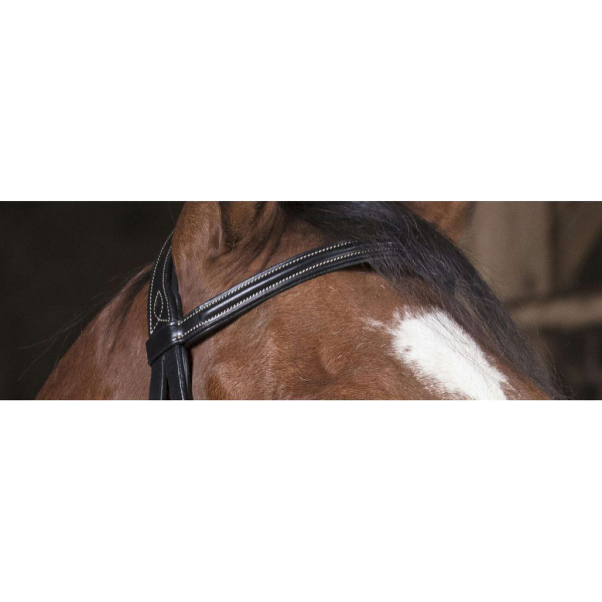 Norton Bridle Pro Fin Black