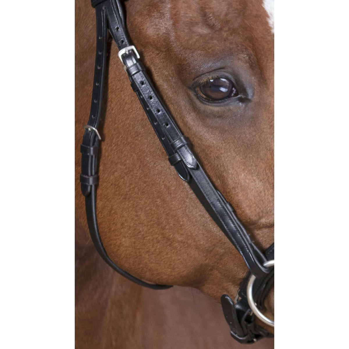 Norton Bridle Pro Soft Black