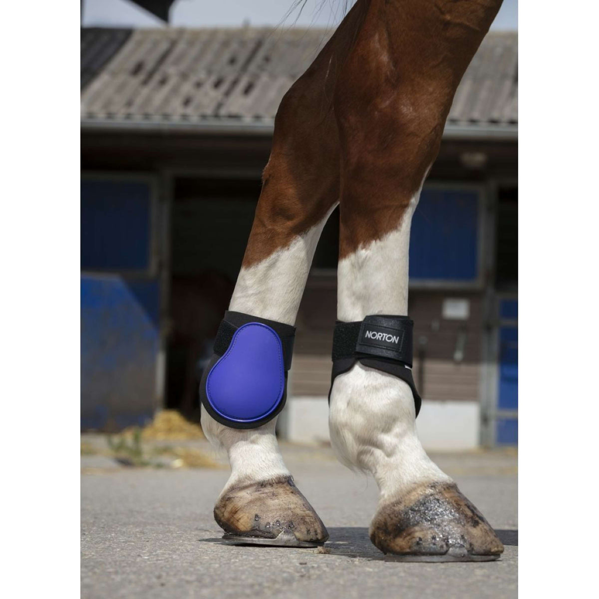 Norton Fetlock Boots Purple