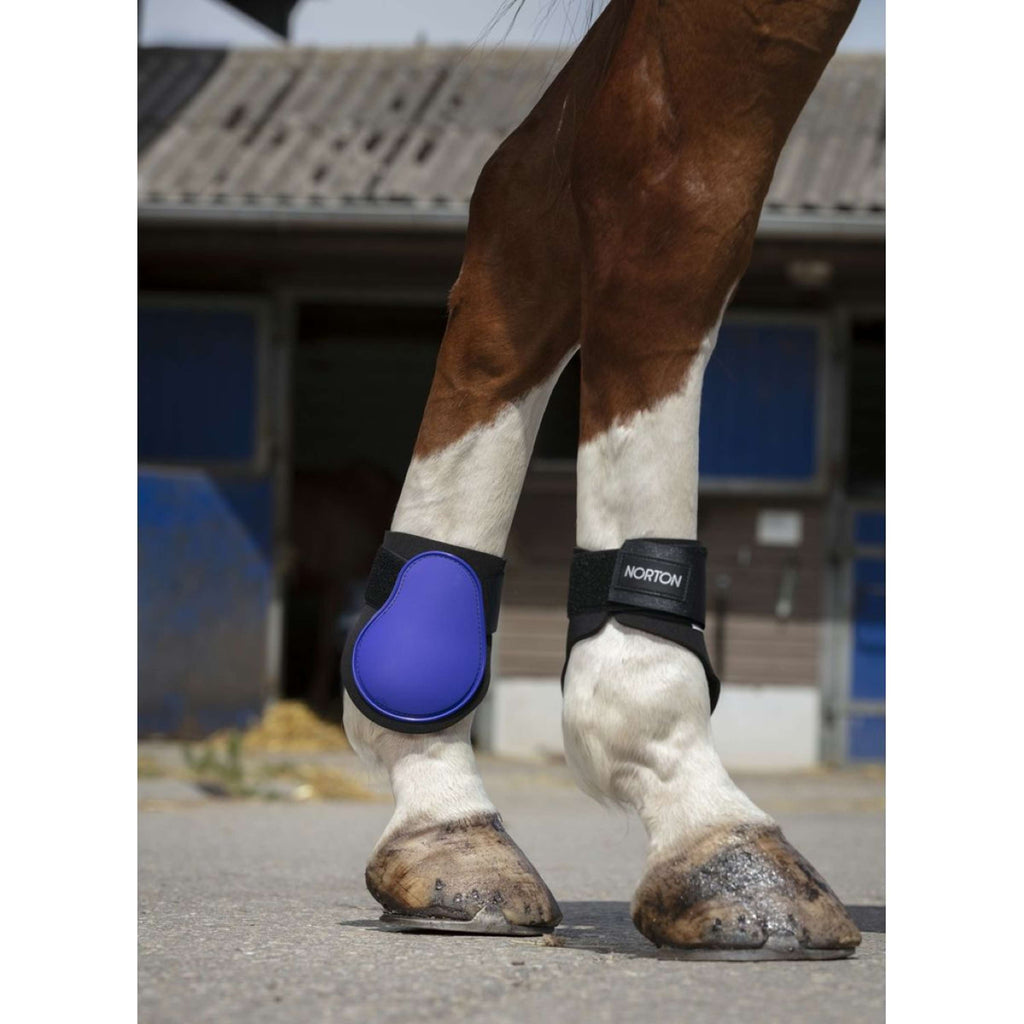 Norton Fetlock Boots Purple