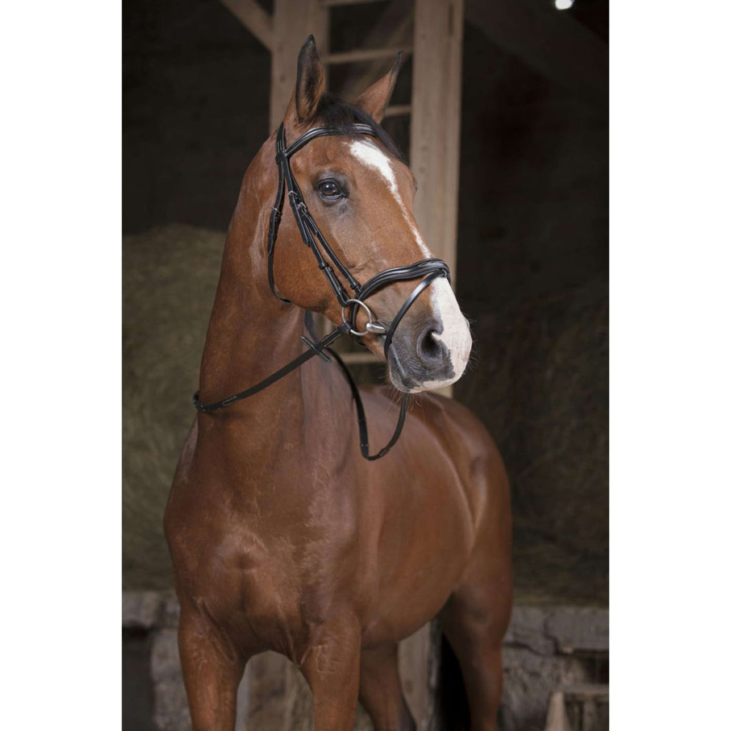 Norton Reins Pro Supergrip Black
