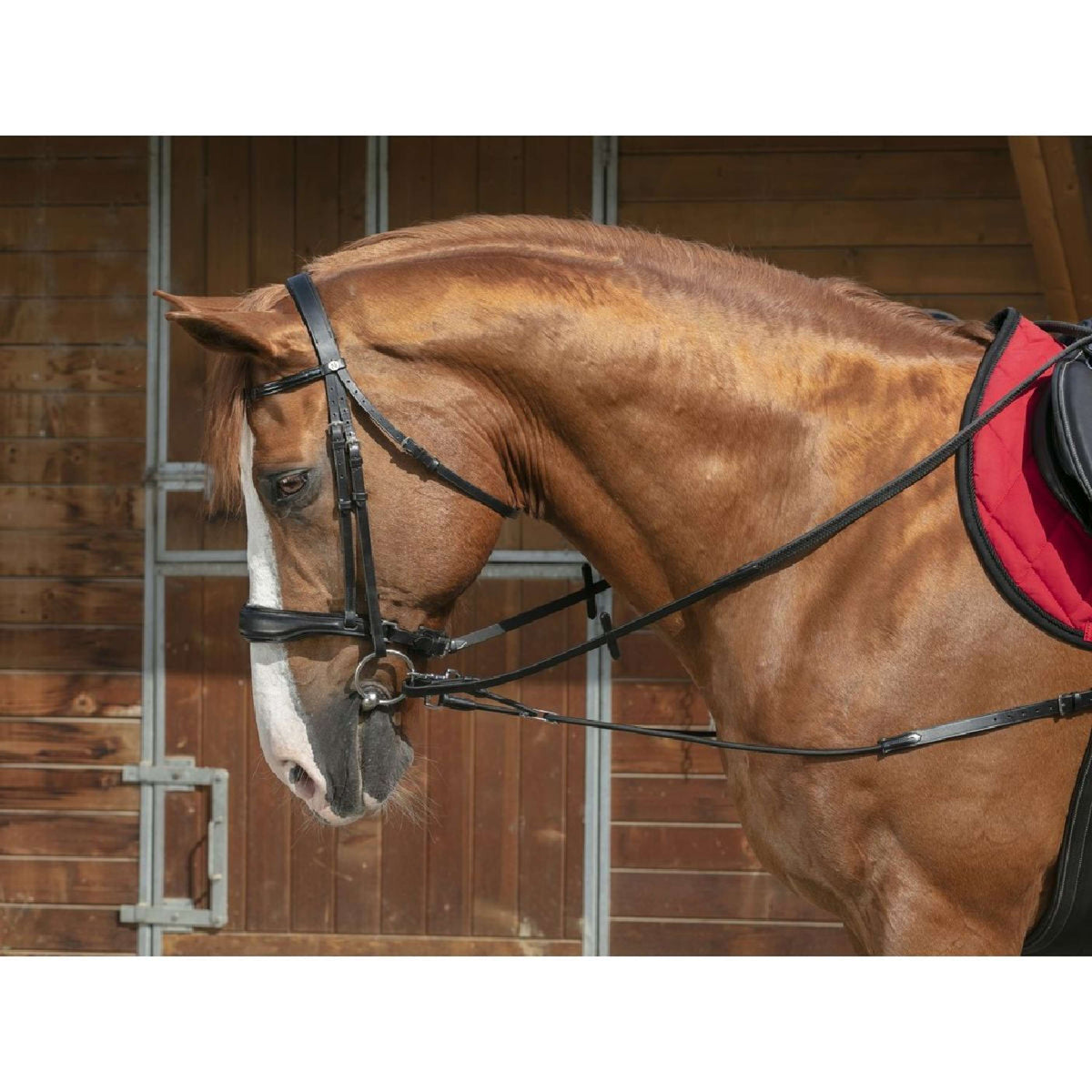 Norton Side Reins Pro Short Elastic with Pulleys Black