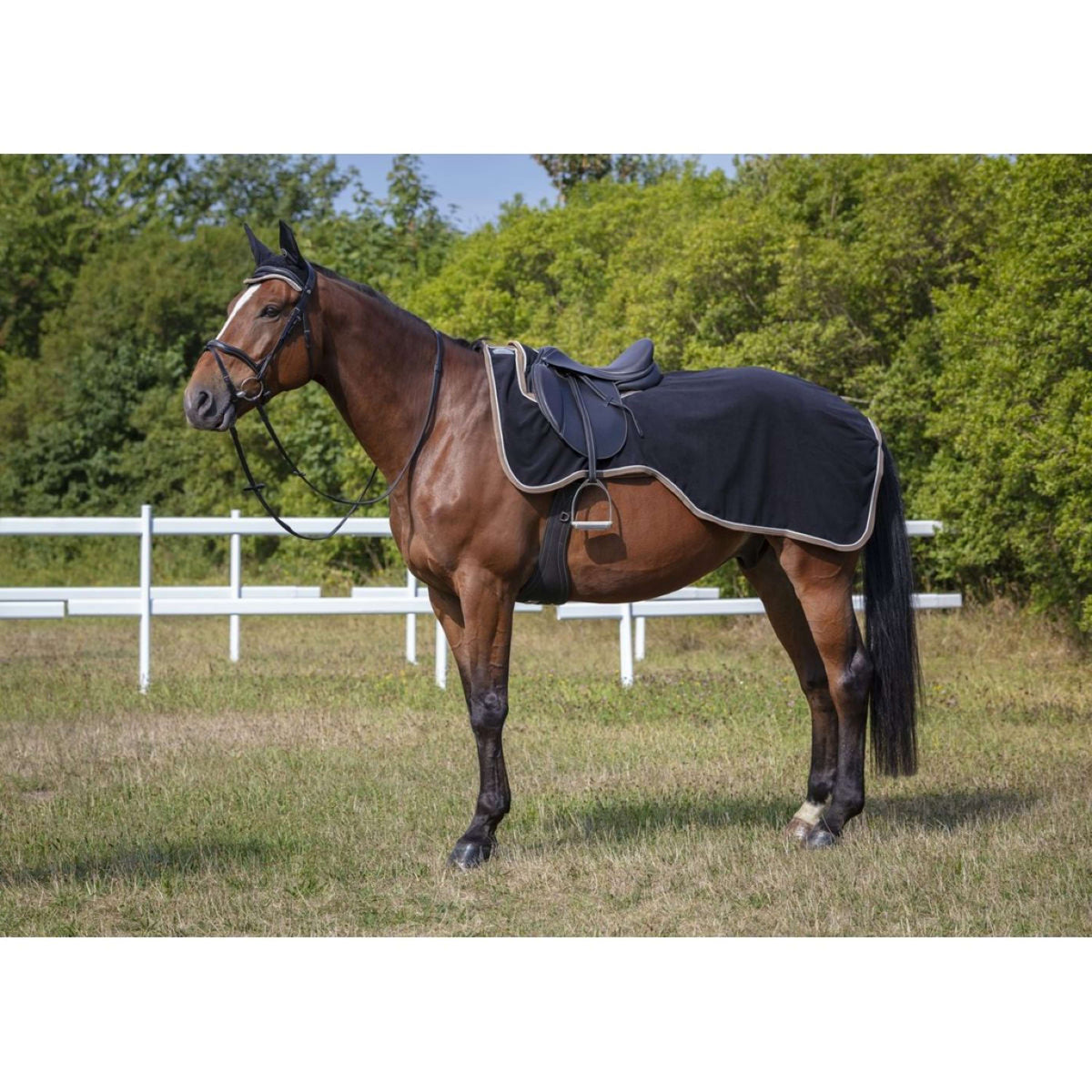 EQUITHÈME Exercise Rug Polyfun Black