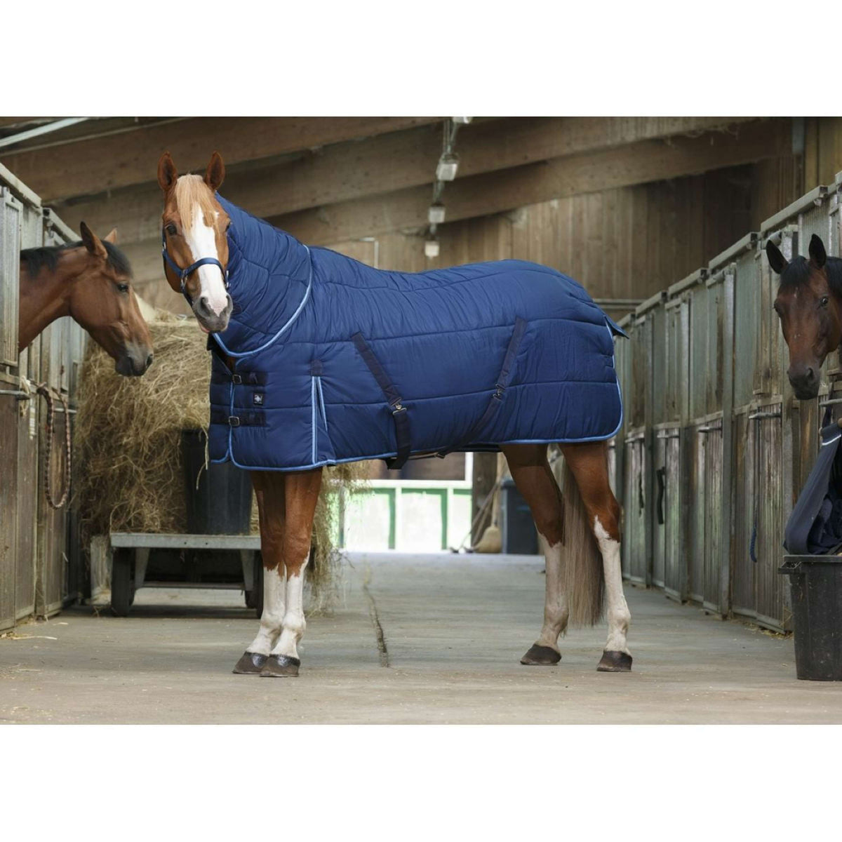 Riding World Stable Blanket Combo Blue