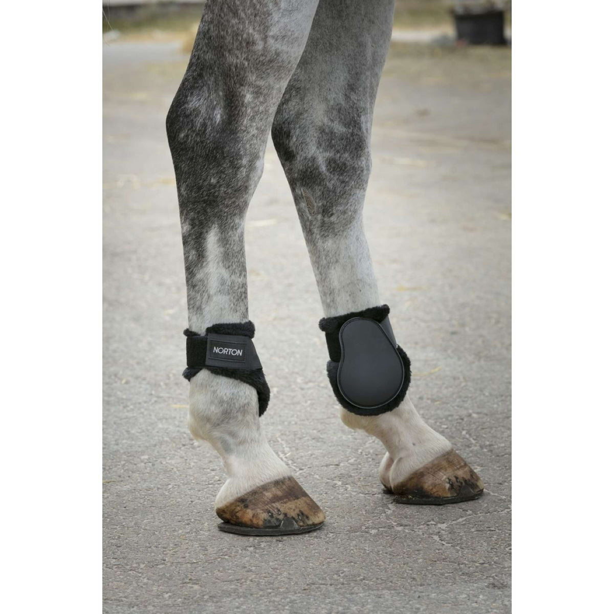 Norton Fetlock Boots Fleece Black