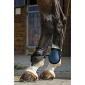 Norton Fetlock Boots Fleece Black