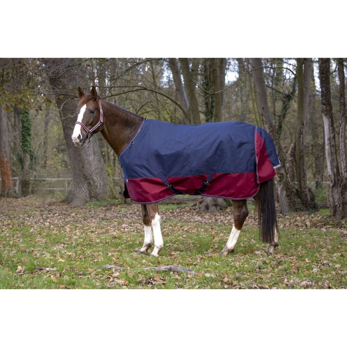 EQUITHÈME Outdoor Rug Tyrex 1200D 450g Navy/Bordeaux