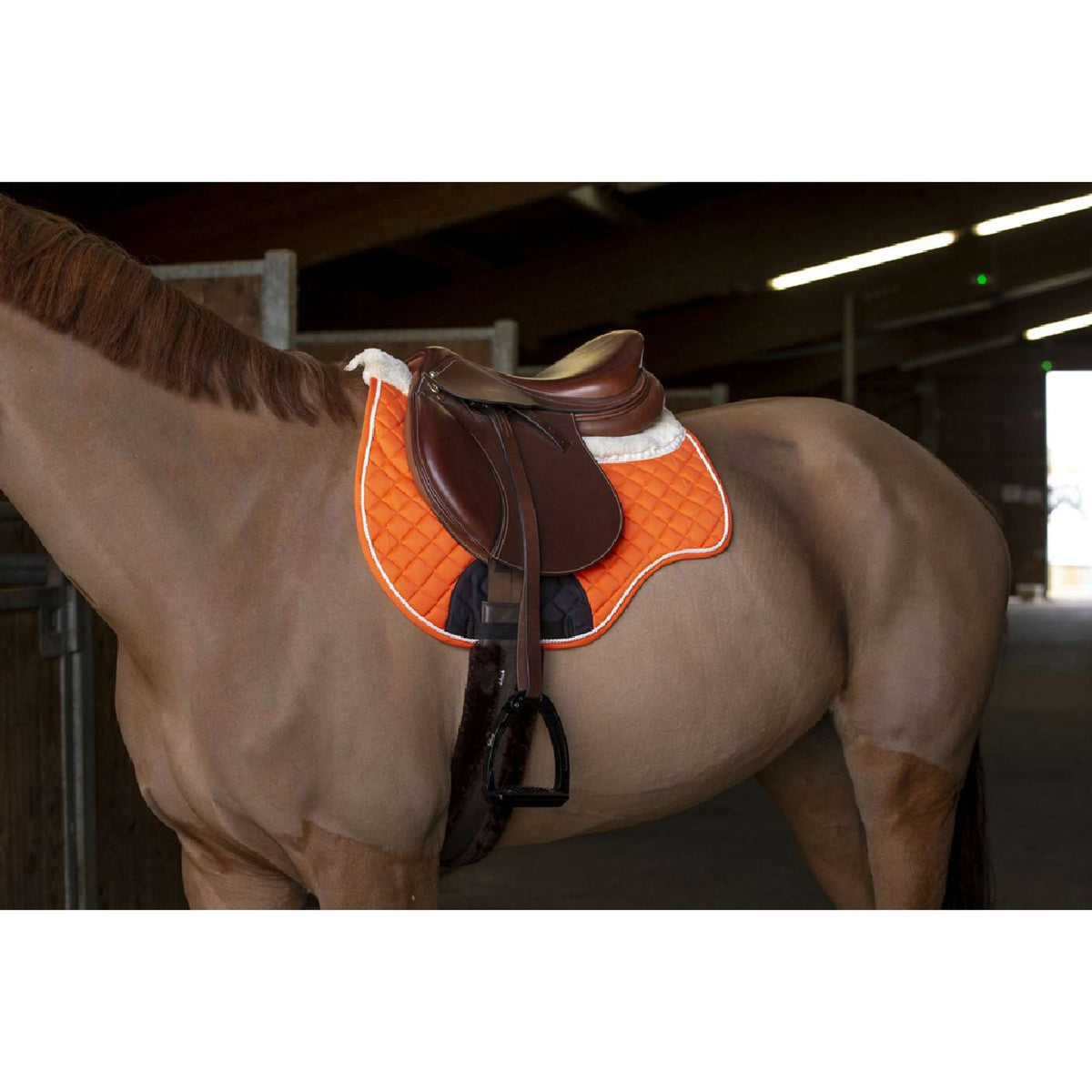 Norton Saddlepad Confort Orange