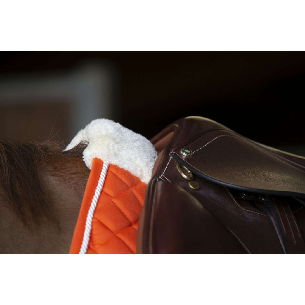 Norton Saddlepad Confort Orange