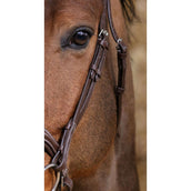 Norton Bridle Pro Miss Havana