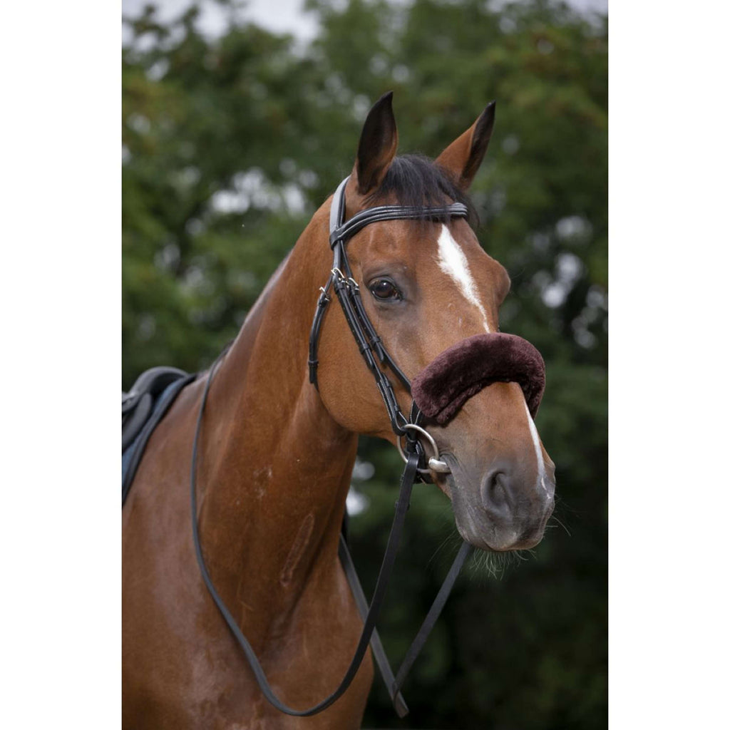 EQUITHÈME Fur Padded Nose Band Teddy Brown