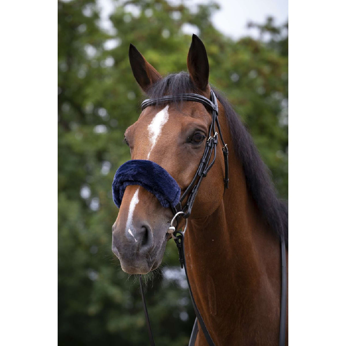 EQUITHÈME Fur Padded Nose Band Teddy Navy