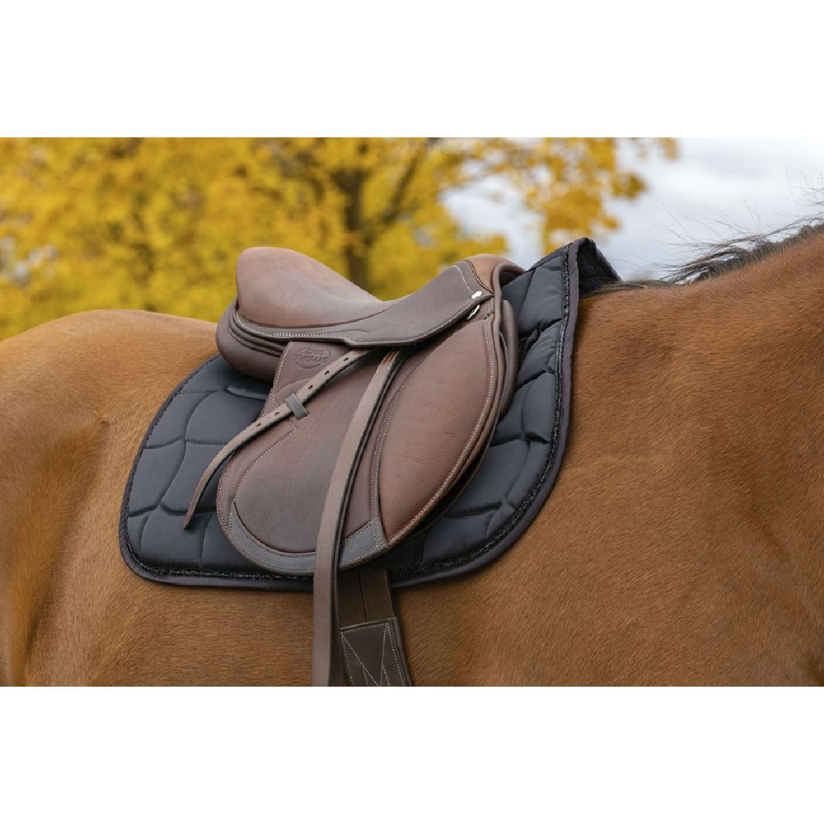 EQUITHÈME Saddlepad Satin General Purpose Black