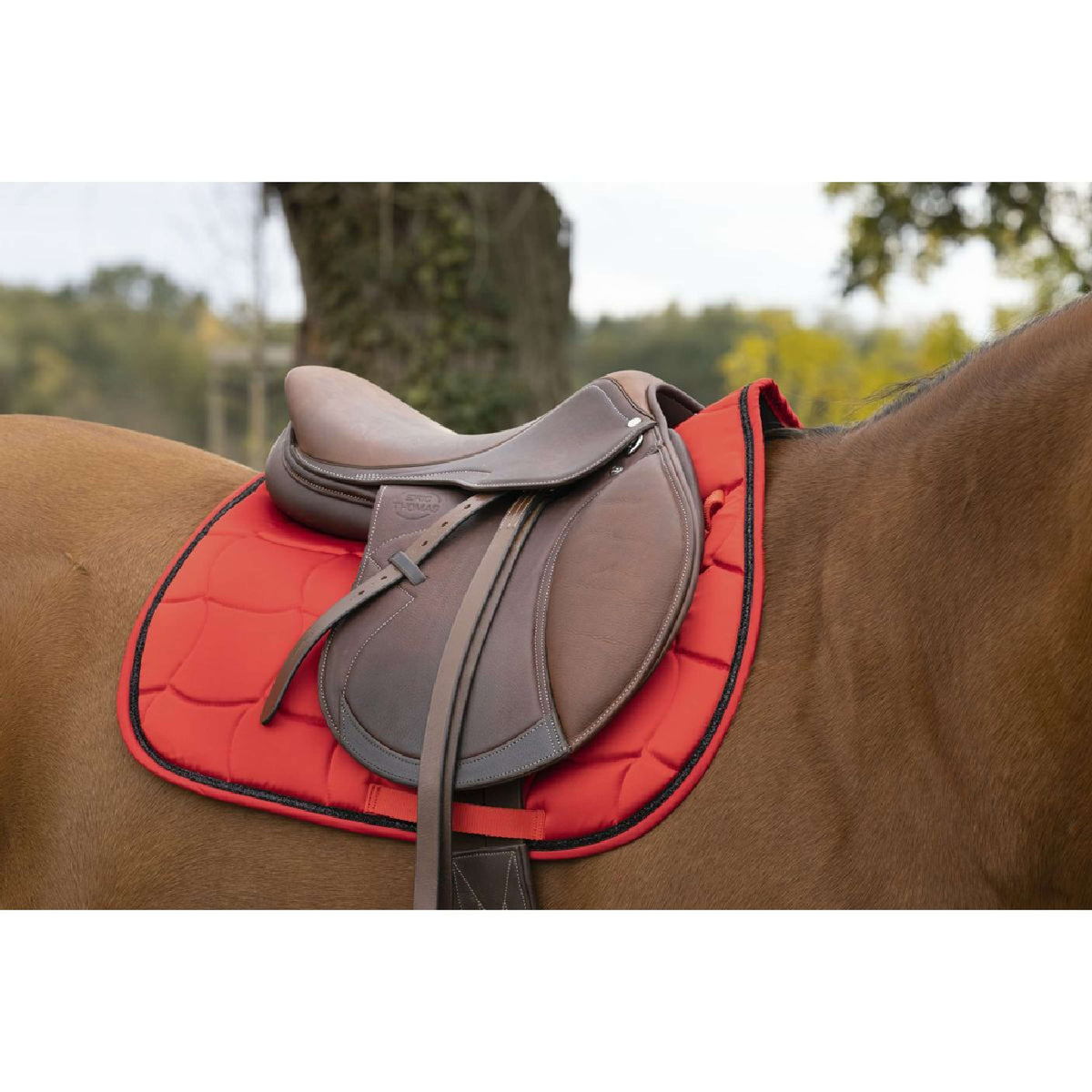 EQUITHÈME Saddlepad Satin General Purpose Red