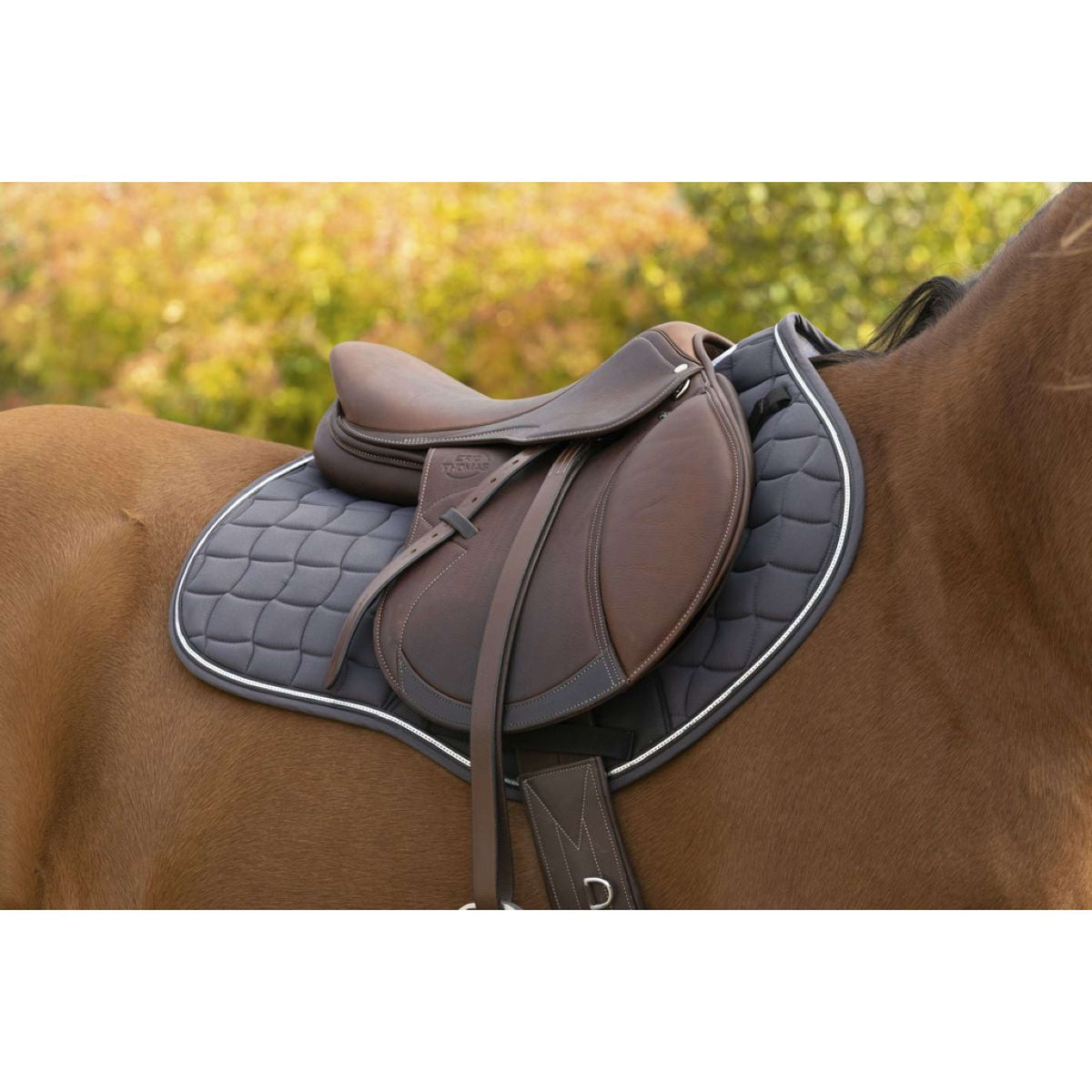 EQUITHÈME Saddlepad Sport Jumping Grey