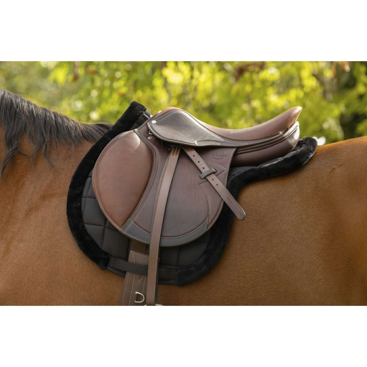 EQUITHÈME Saddlepad Pro Black