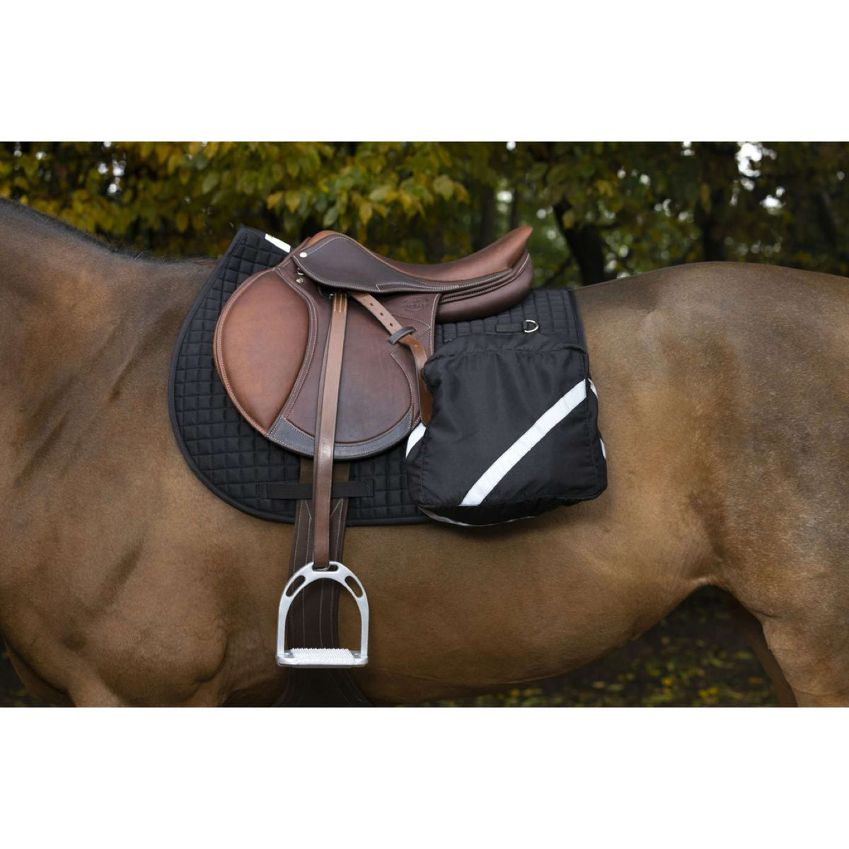 Randol's Saddlepad Randol's Trail Black