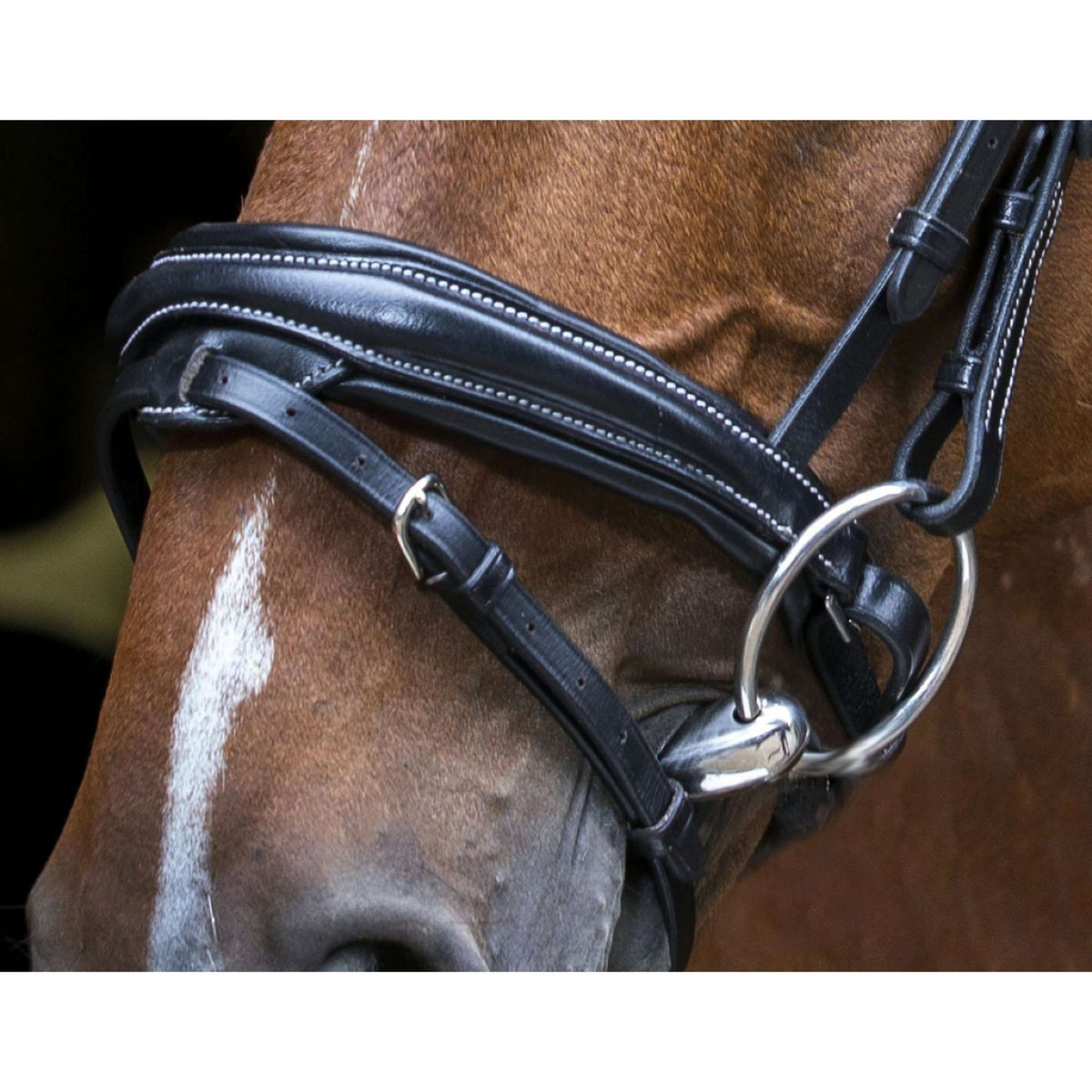 Eric Thomas Bridle Pro Design Black