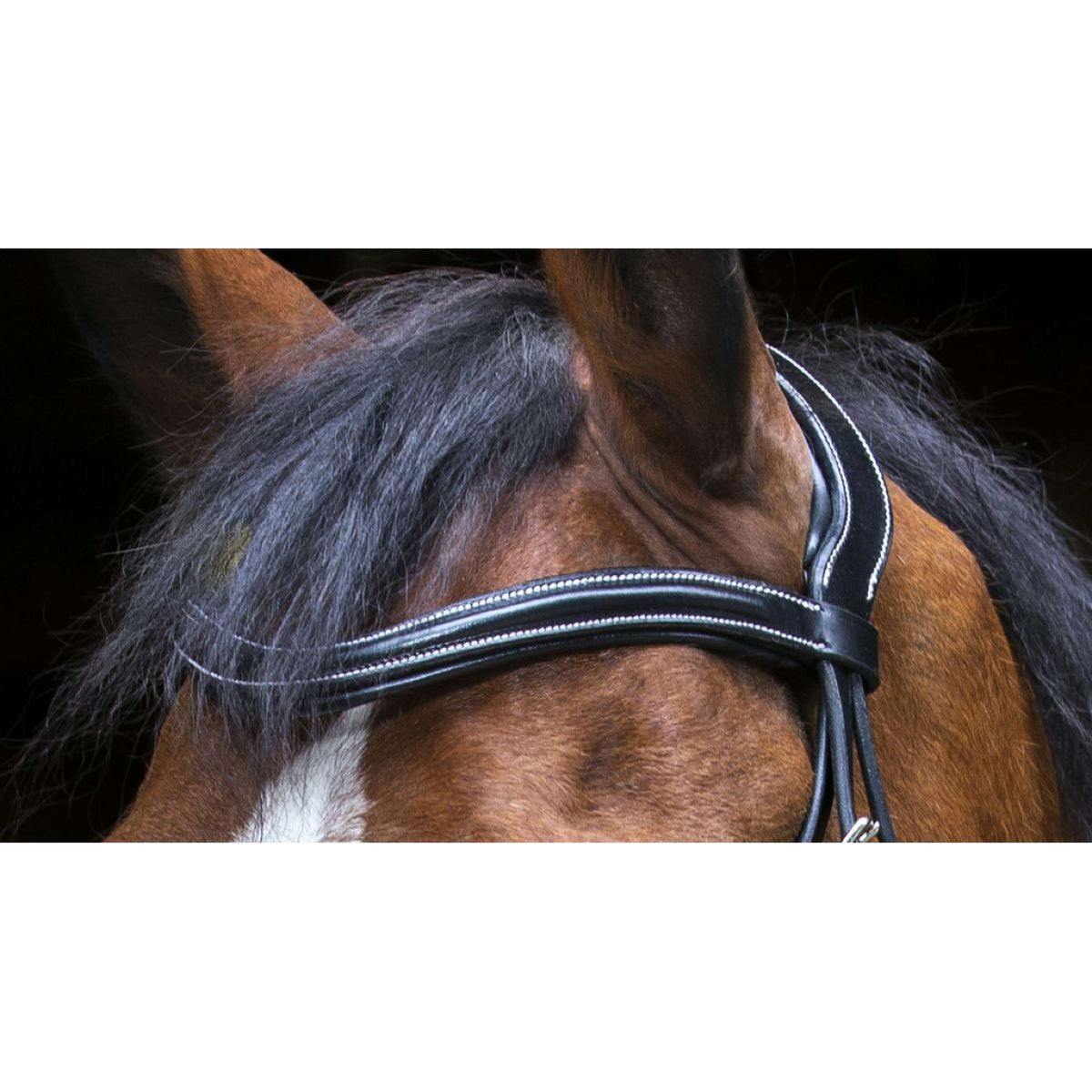 Eric Thomas Bridle Pro Design Black