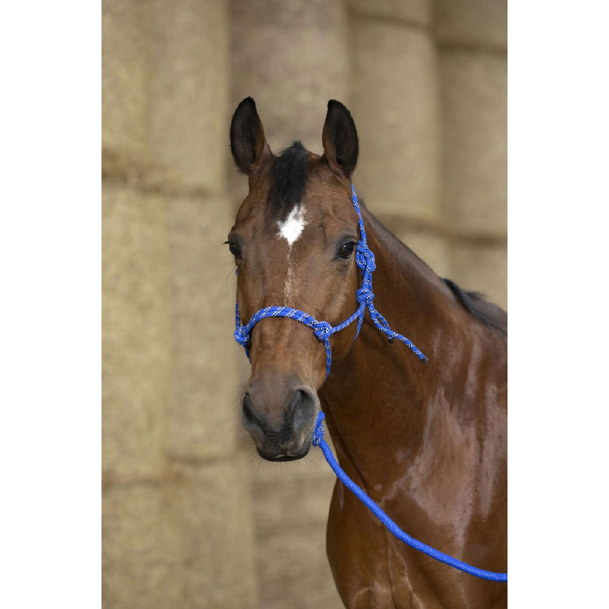 Norton Ethological Headcollar Eco Blue/White/Black