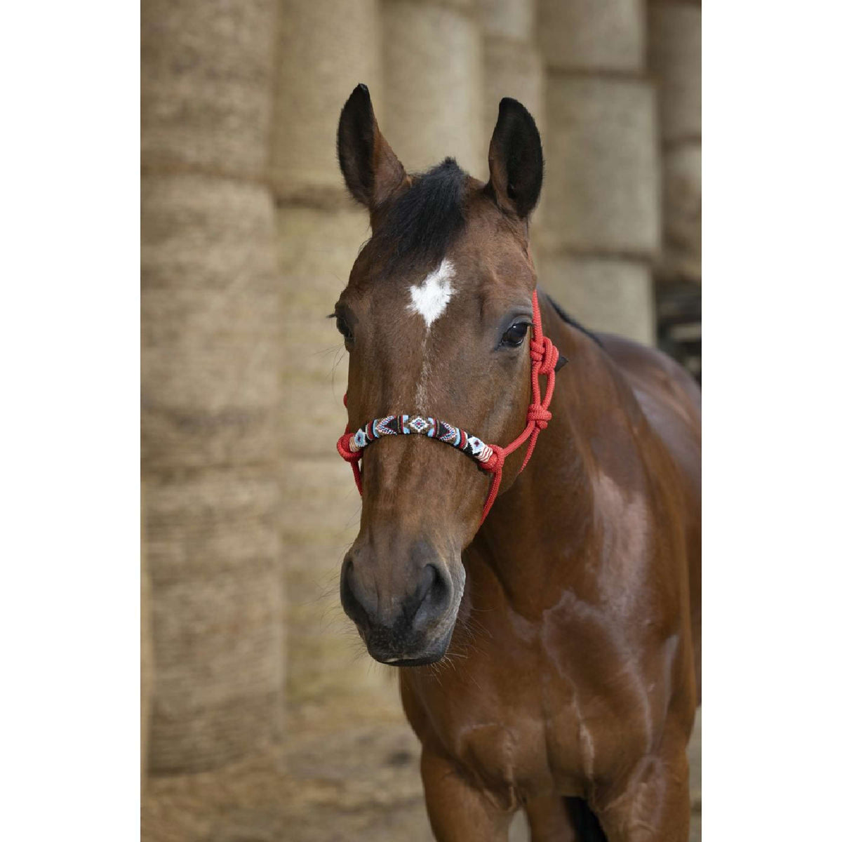 Norton Ethological Headcollar Pearl Red