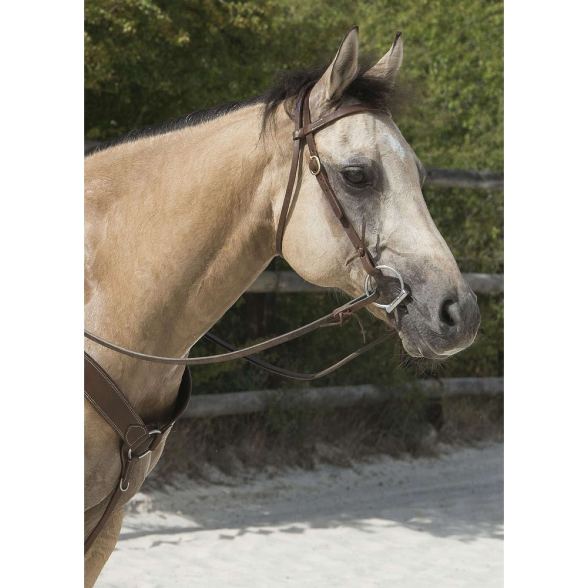 Westride Bridle Colorado Choco