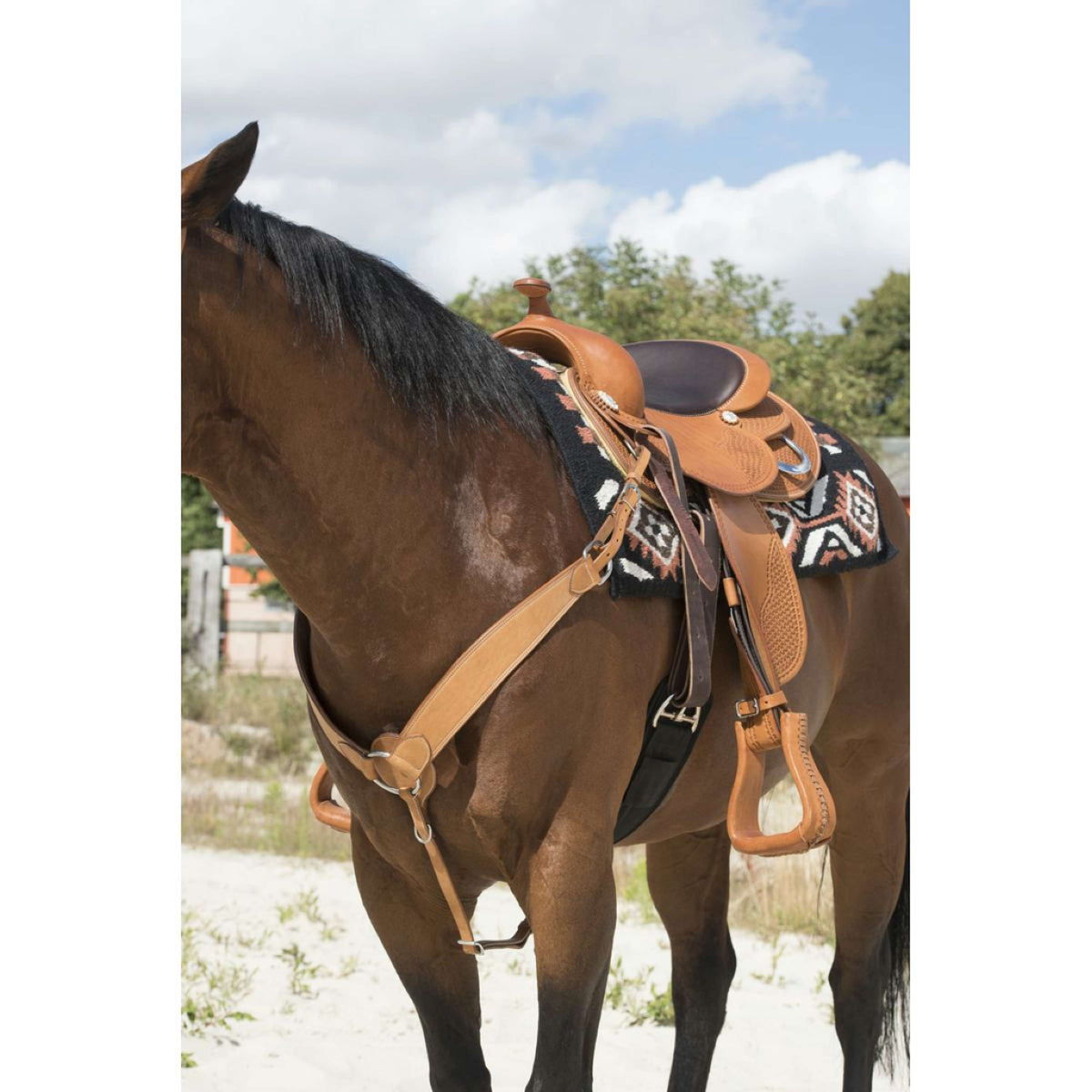 Westride Front Harness Billy Hazelnut