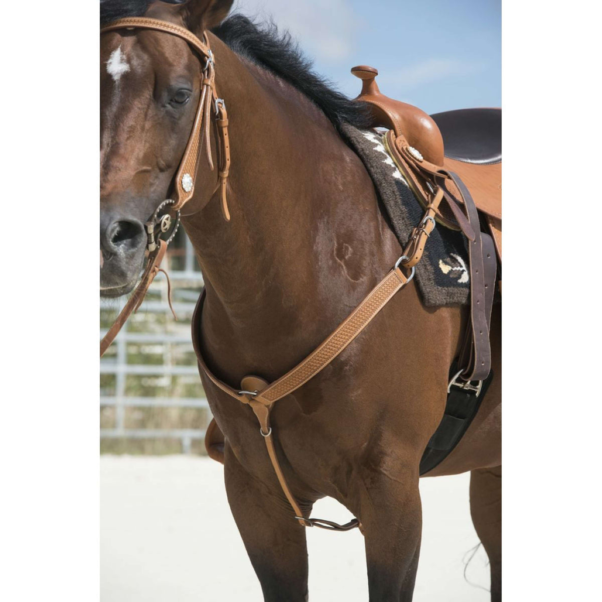 Westride Front Harness Aurora Hazelnut