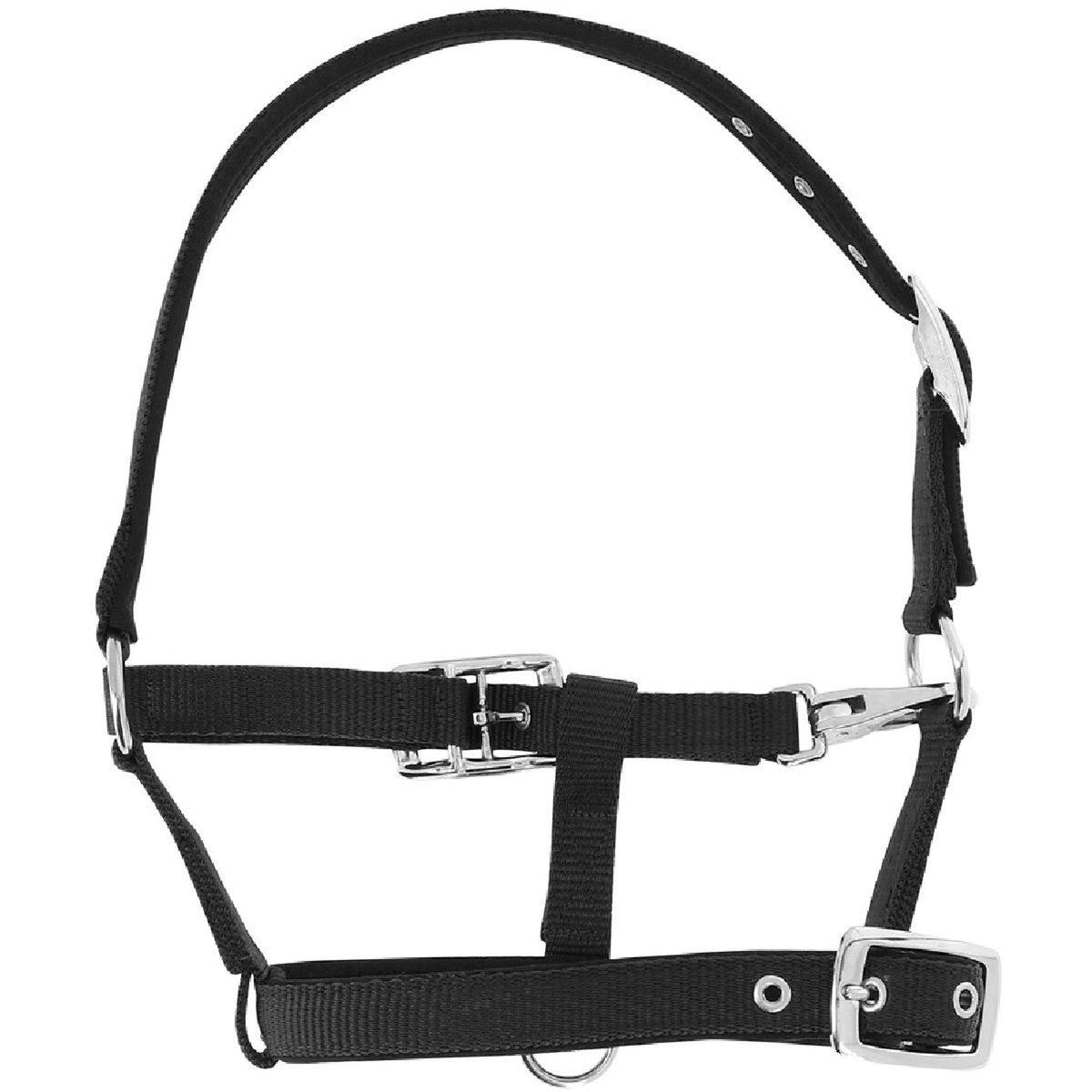 Norton Halter Respirant Black