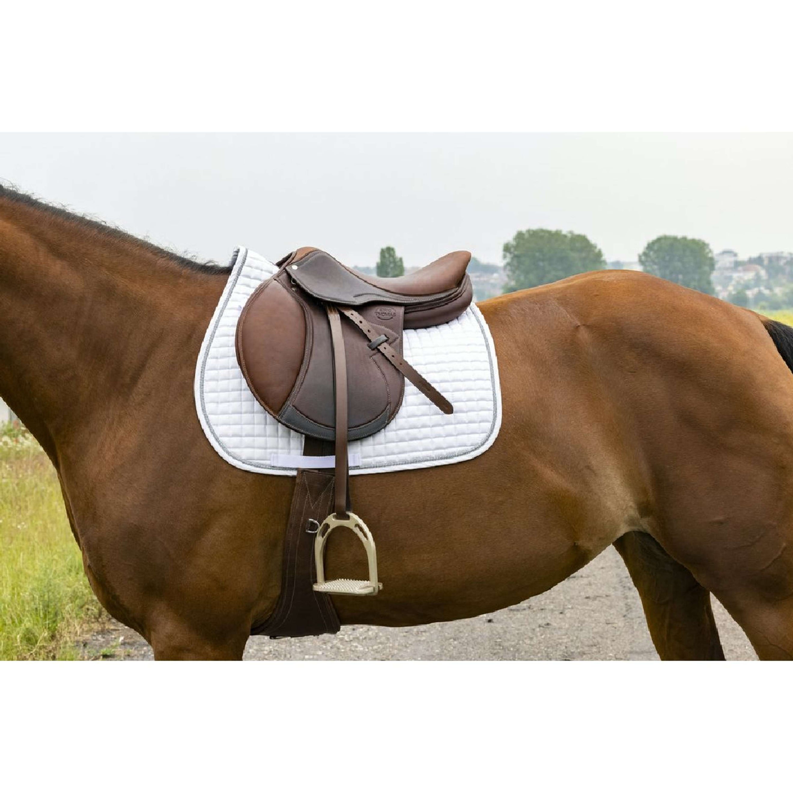 Riding World Saddlepad Girly White