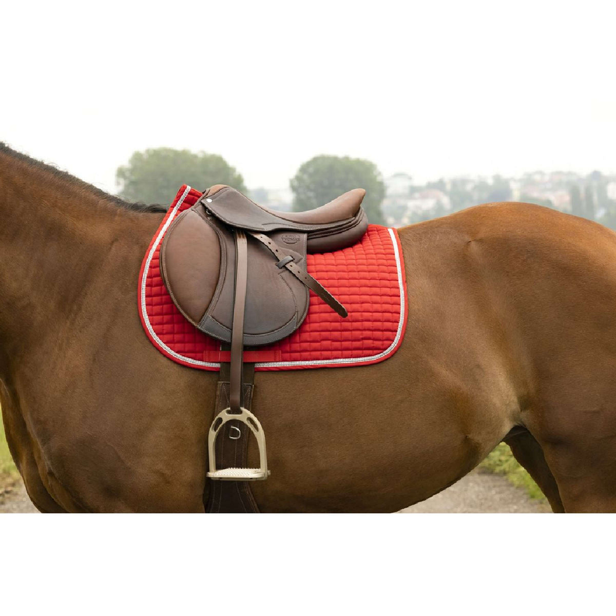 Riding World Saddlepad Girly Red