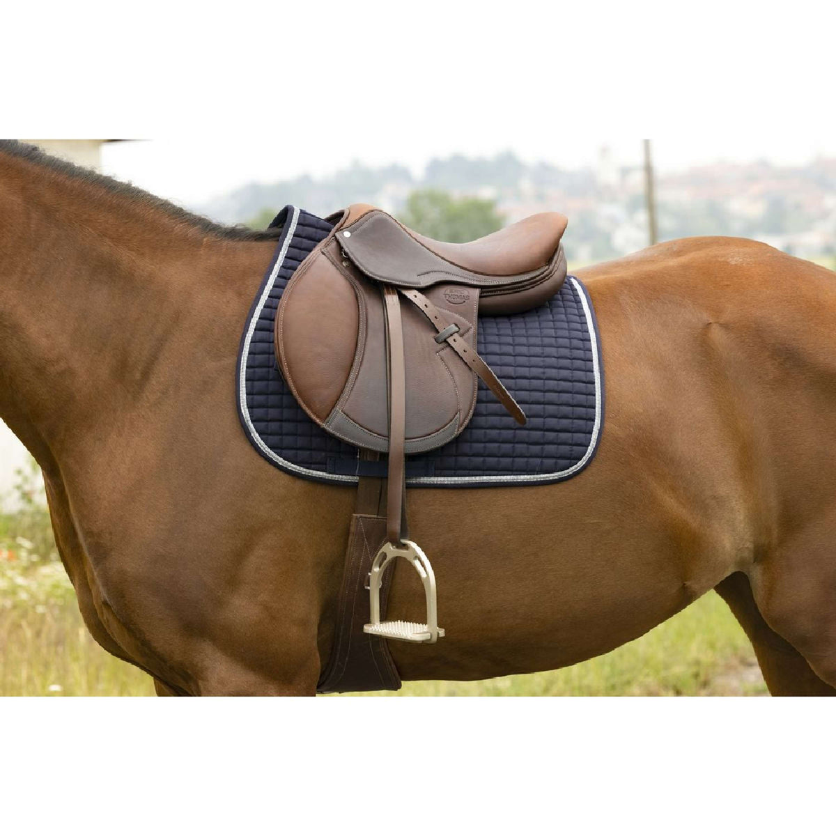 Riding World Saddlepad Girly Navy