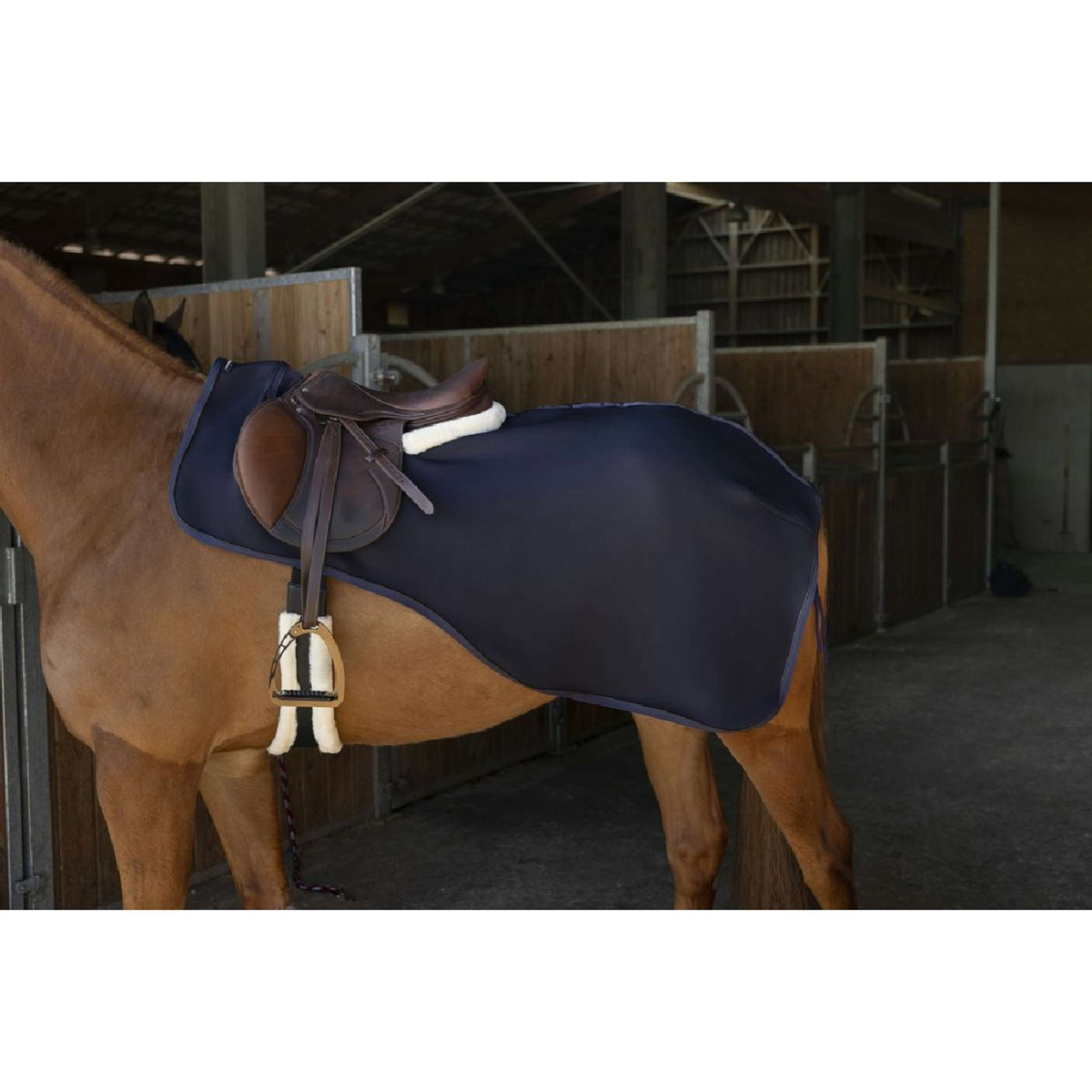 EQUITHÈME Exercise Rug Teddy Navy