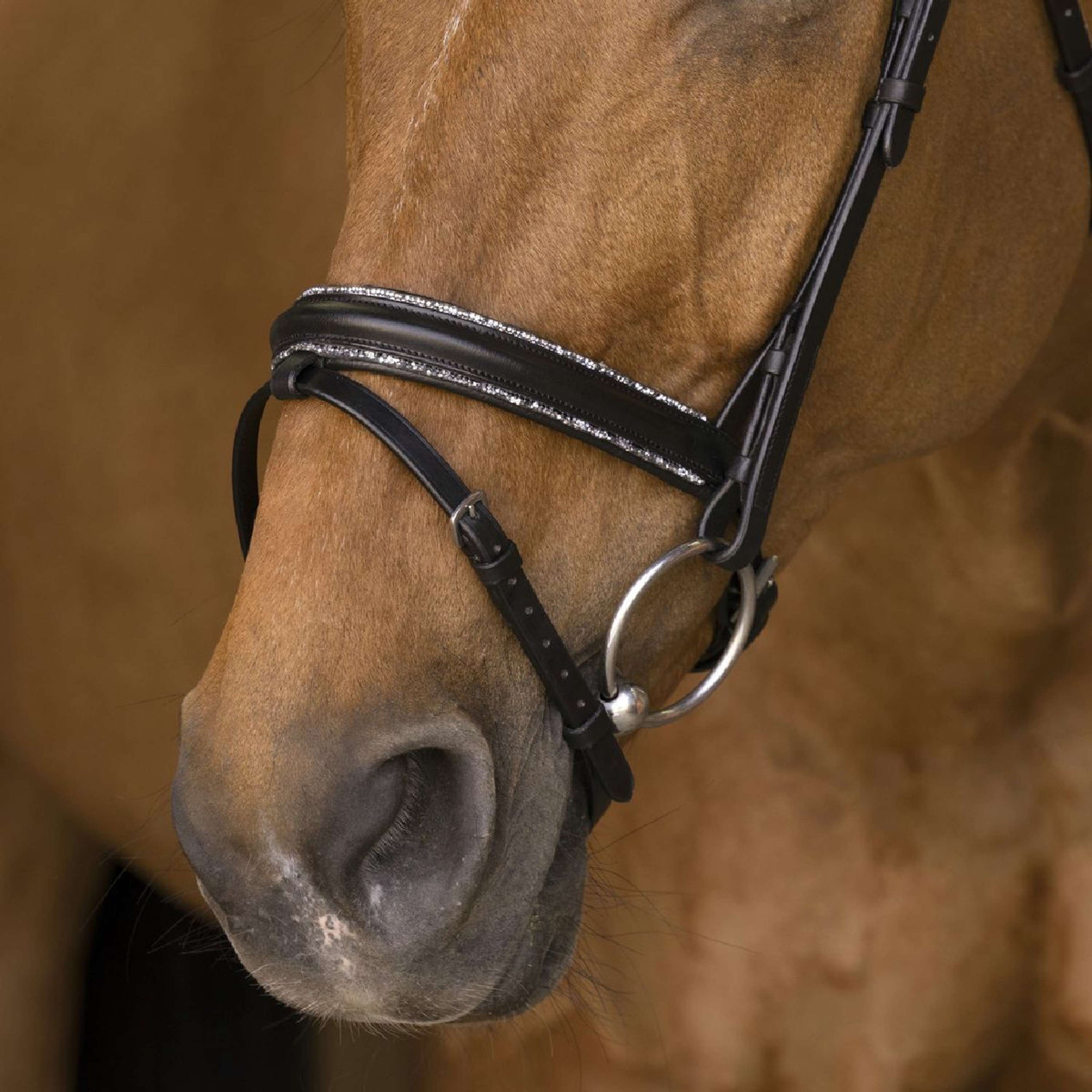 Norton Bridle Pro Rock Black