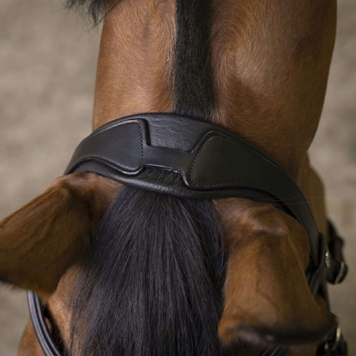 Norton Bridle Pro Rock Black