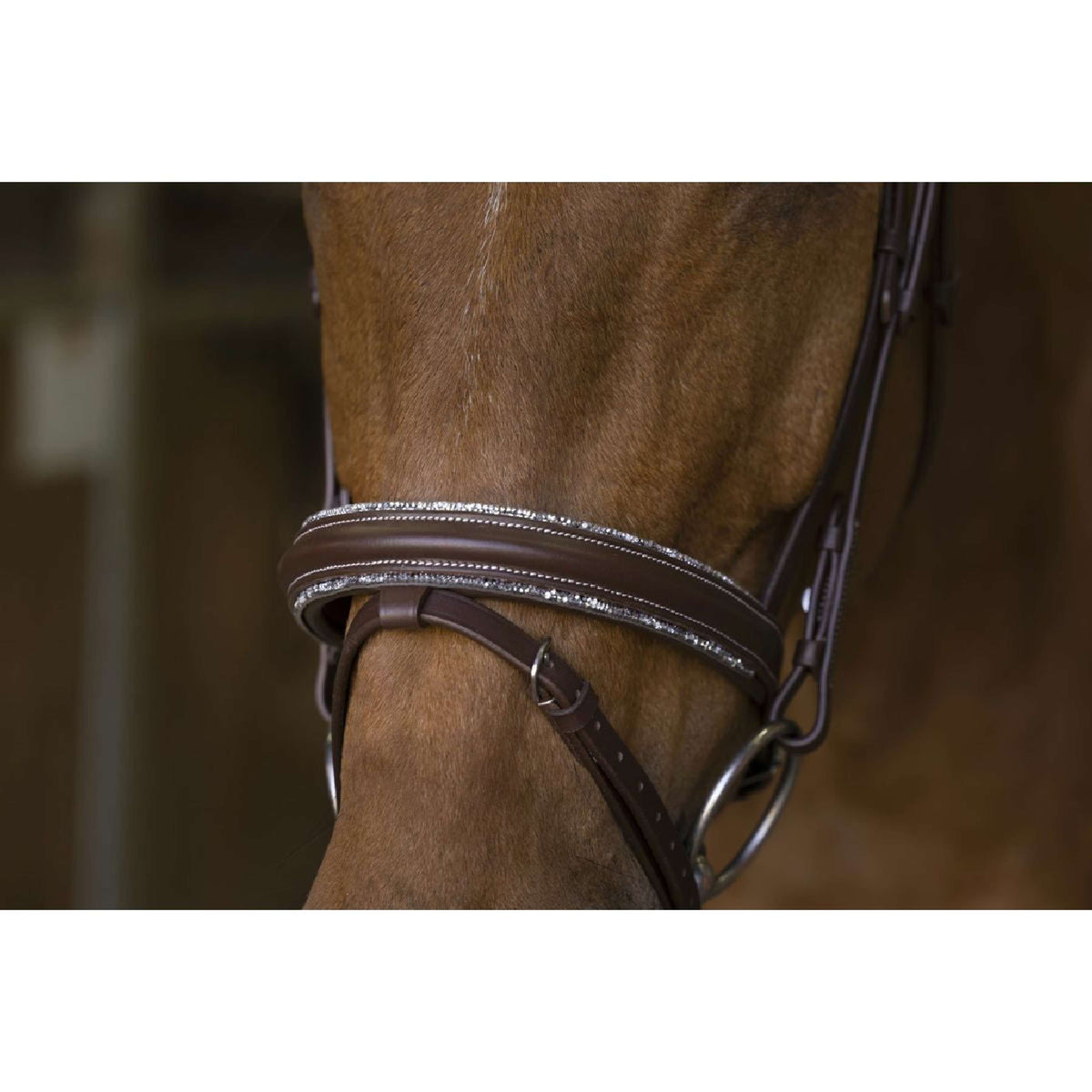 Norton Bridle Pro Rock Black