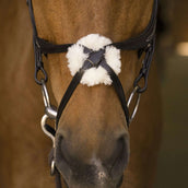 Norton Bridle Pro Mexican Noseband Havana