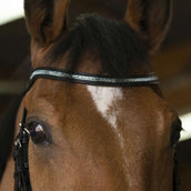 Norton Double Bridle Diadème Black