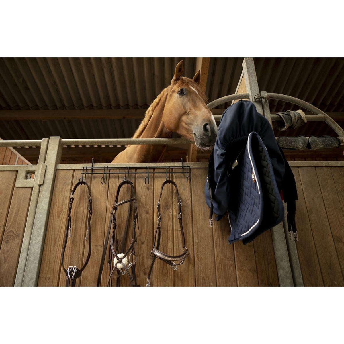 Hippotonic Bridle Hanger with 6 Hooks Black