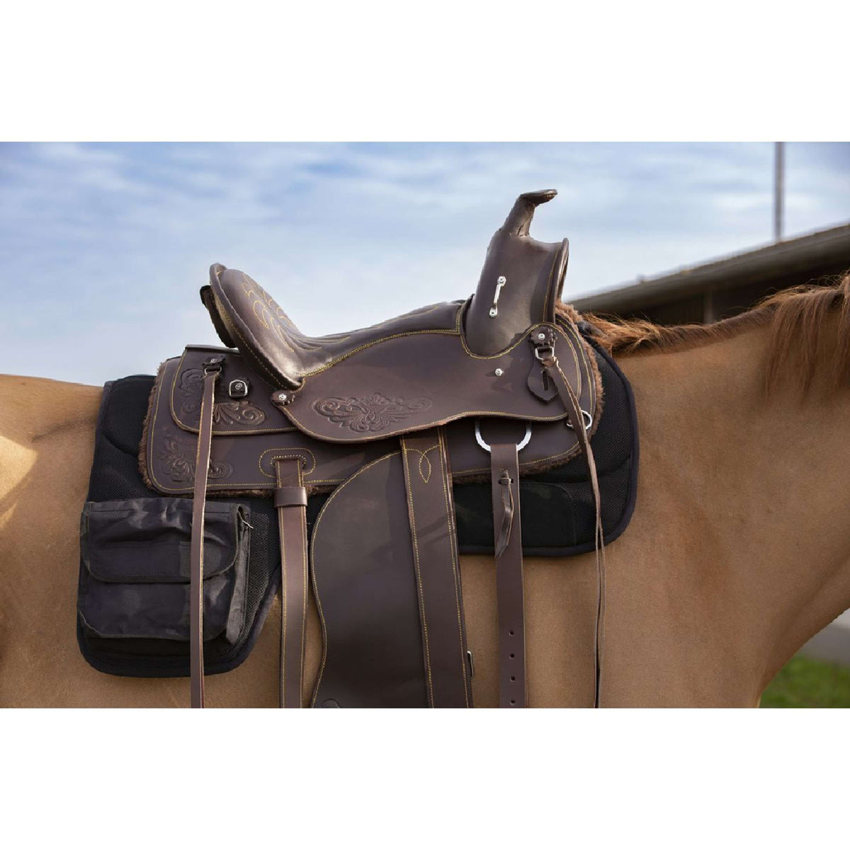 Westride Westernpad with Bags Black