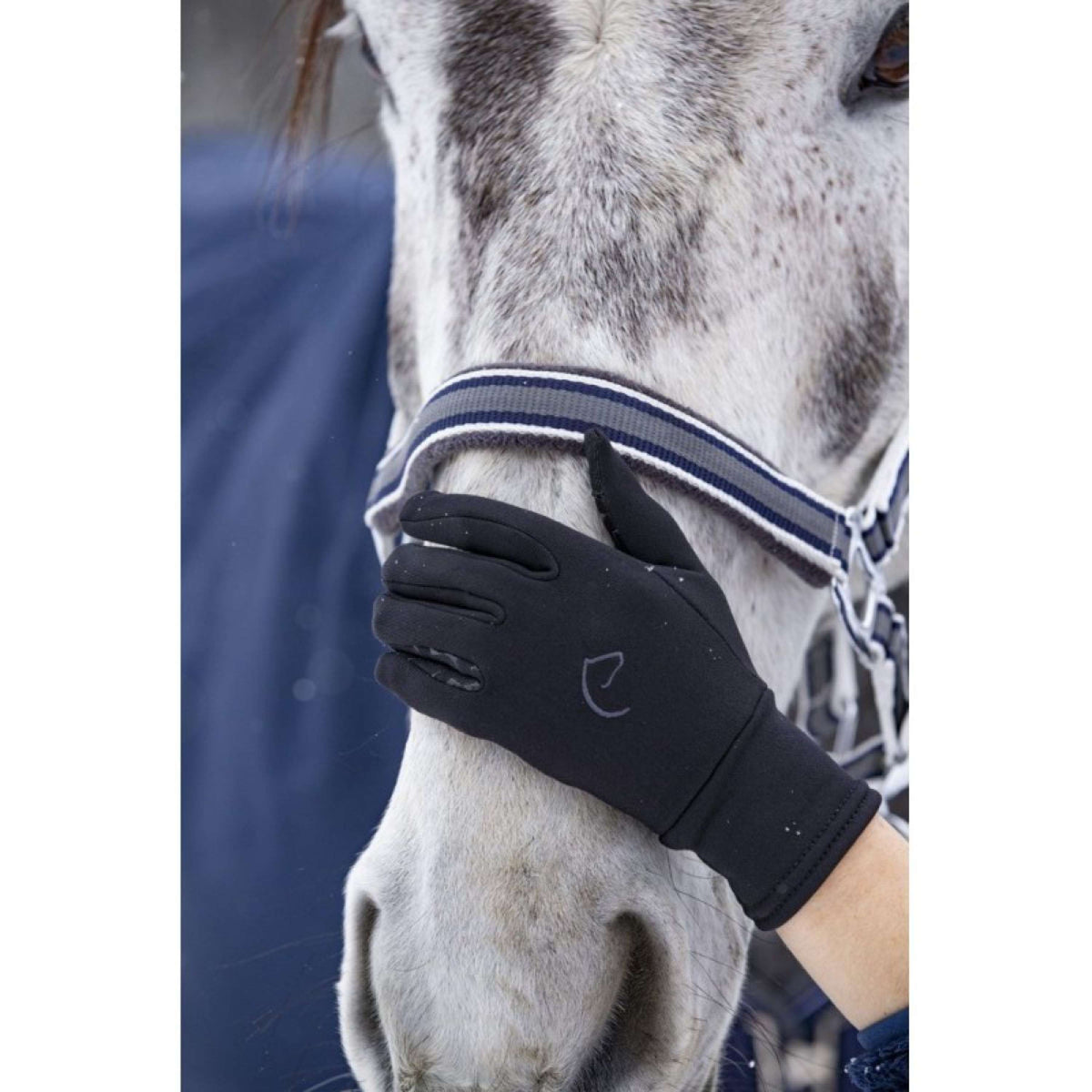 EQUITHÈME Riding Gloves Winter Black