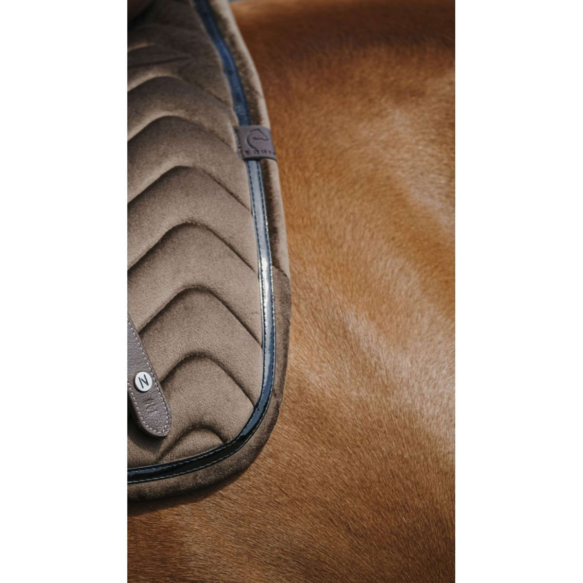 EQUITHÈME Saddlepad Glossy Jumping Brown